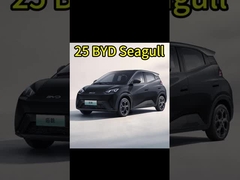 Chinese elektrische auto's