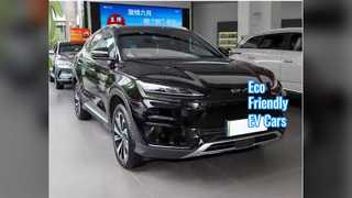 Chinese EV's Duurzaam woon-werkverkeer in de stad