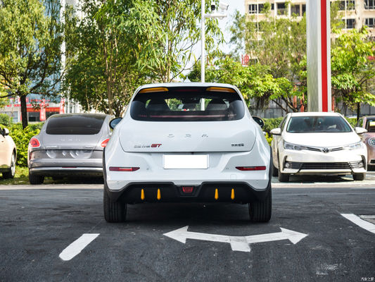 Euler Good Cat GT Chinese EV Cars 401KM Geassisteerd rijniveau L2