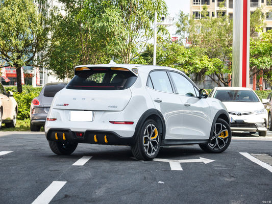 Euler Good Cat GT Chinese EV Cars 401KM Geassisteerd rijniveau L2
