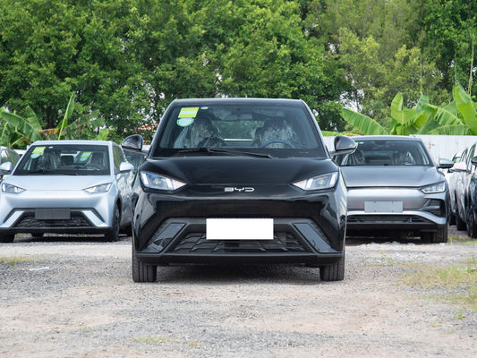 2025 BYD Seagull, EV bereik 305KM-405KM, verbeterde configuratie, lagere prijs!