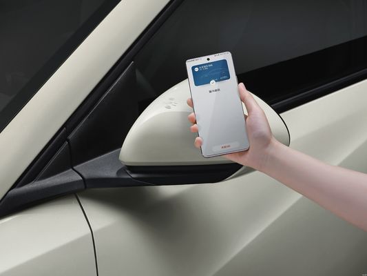 2025 BYD Seagull, verbeterd intelligent rijden, verbeterde veiligheidsconfiguratie, meer functies en lagere prijs!