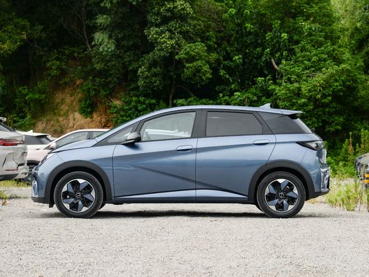 2025 BYD Dolphin, de meest perfecte kleine elektrische auto in China.