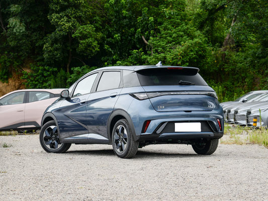 2025 BYD Dolphin, de meest perfecte kleine elektrische auto in China.